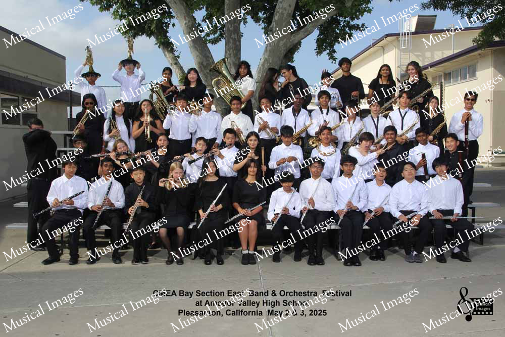 Musical Images